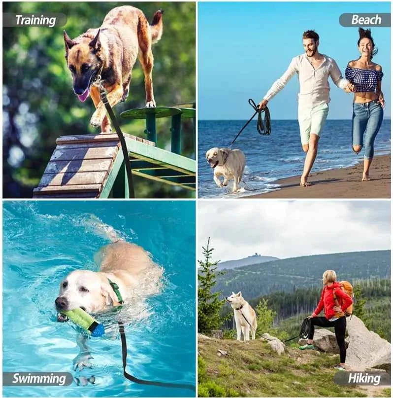 Standard Nylon Leash