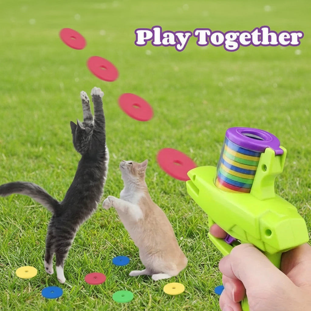 Feline Fetch gun