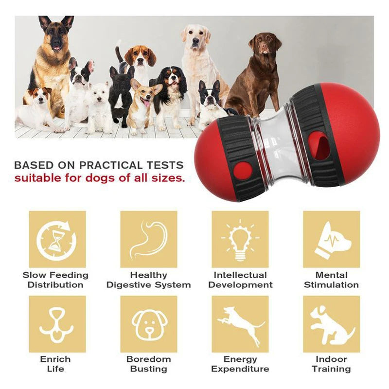 Elliptical Treat Rolling Ball