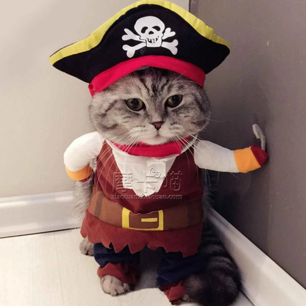 Pet Pirate Costume