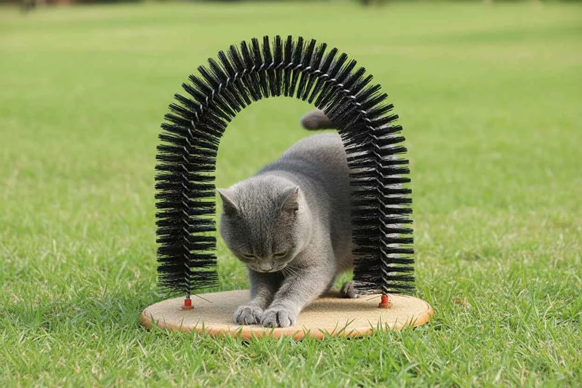 Feline Back Scratcher