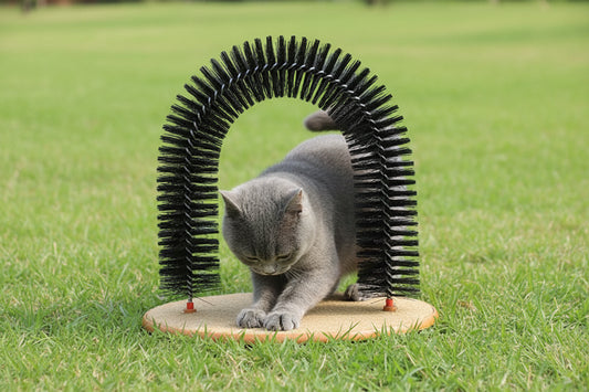 Feline Back Scratcher