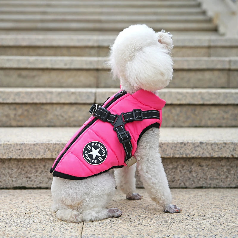Waterproof Dog Winter Jacket with Harness - Waggy World