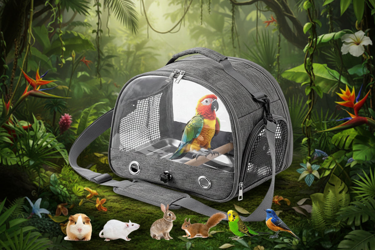 Portable Transparent Pet Carrier Backpack - Waggy World