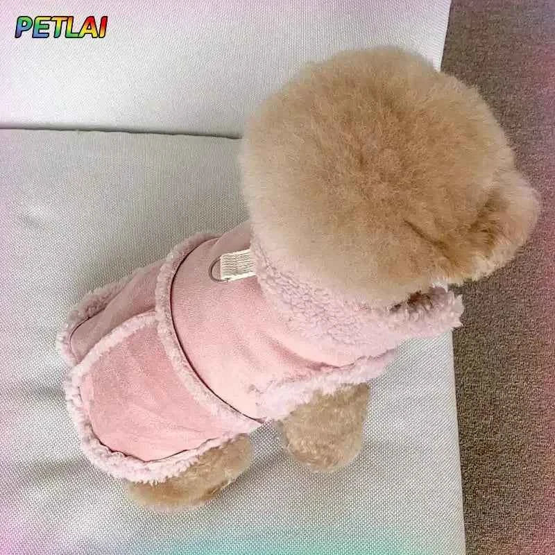 Doggie Vest & Leash