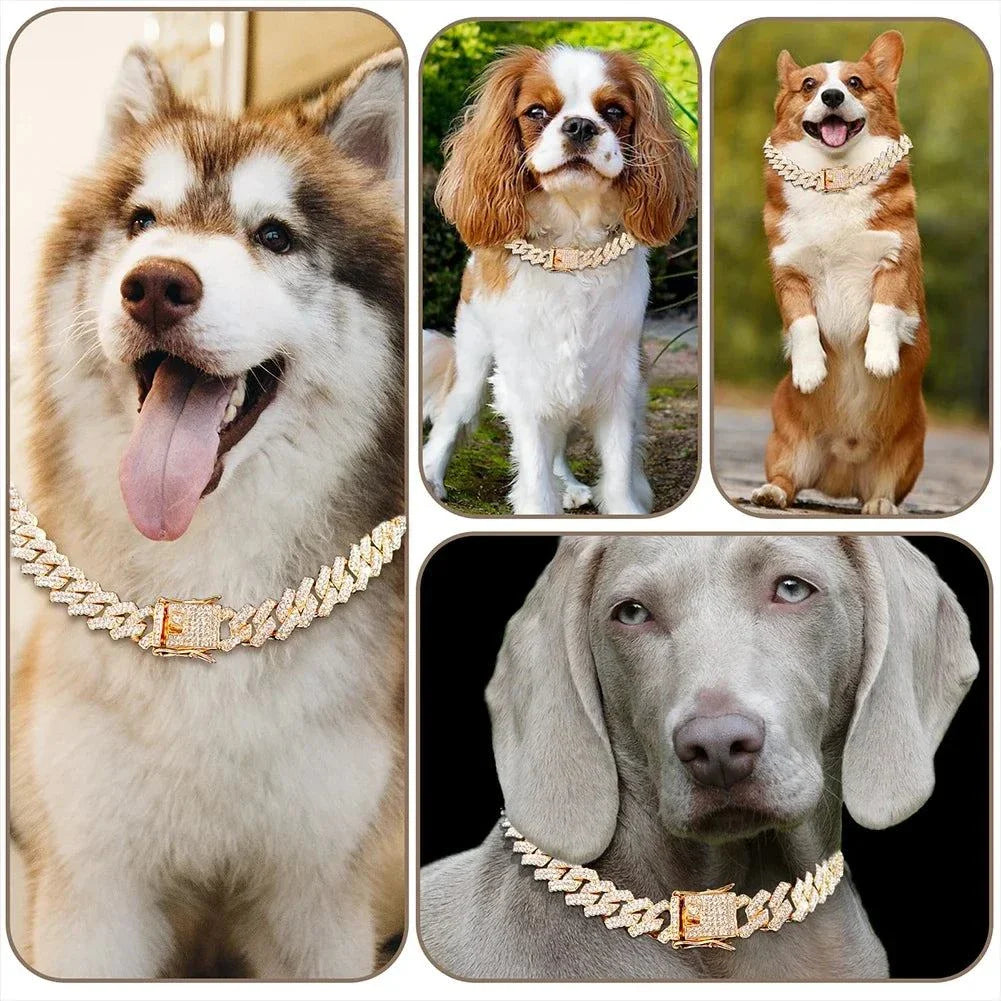 Cuban Link Pet Chain