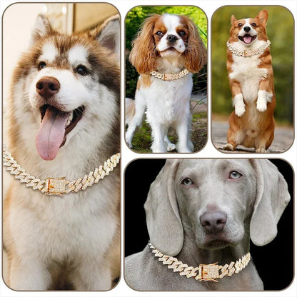 Cuban Link Pet Chain