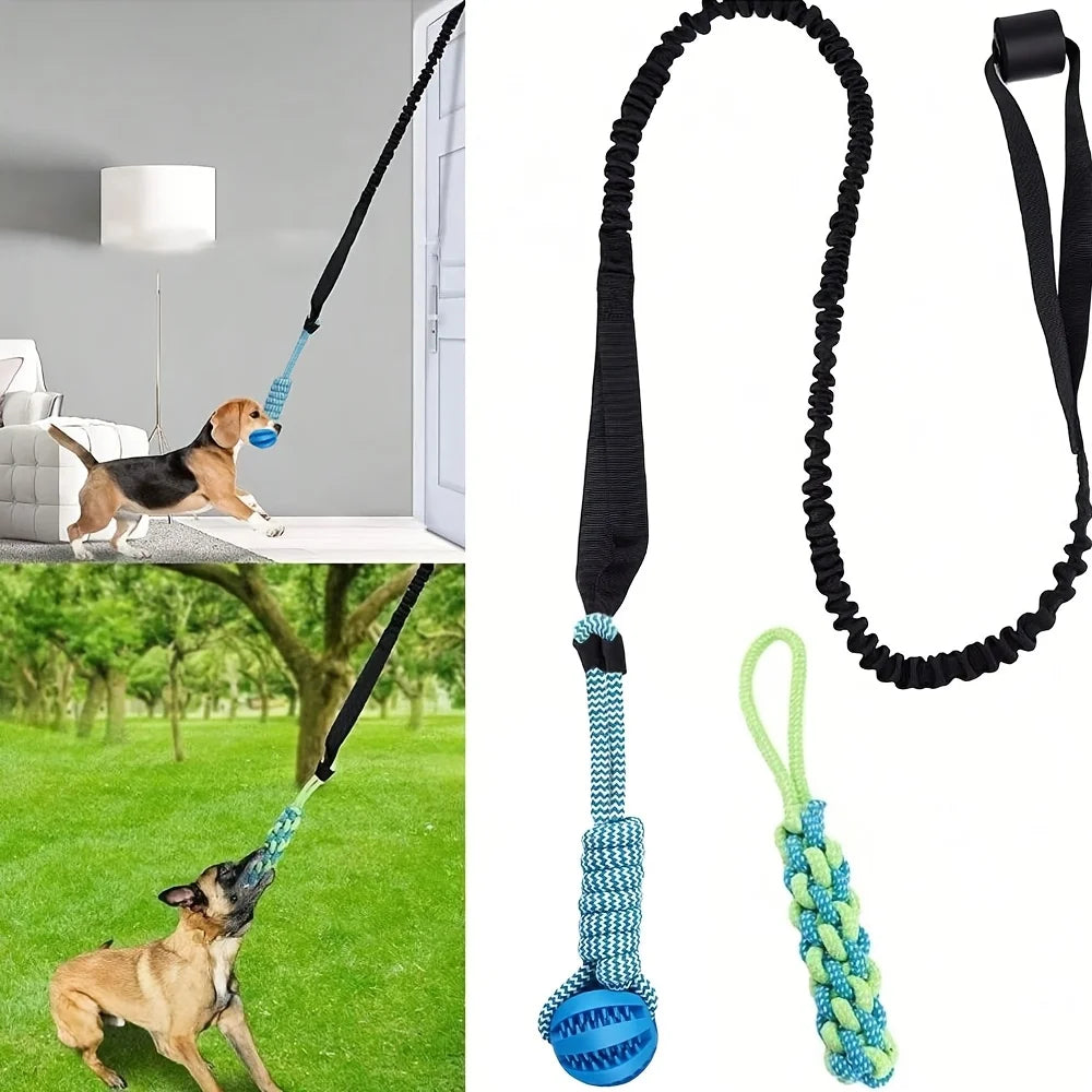 3pc Elastic Ball & Rope