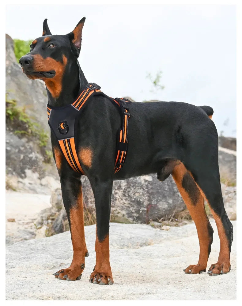 Large Breed Tactical Harness
