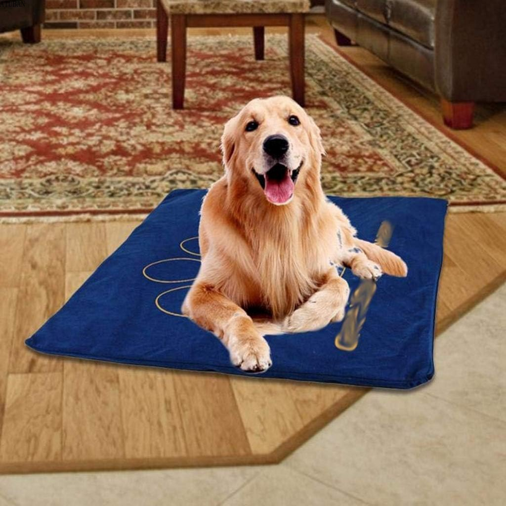 Pet Heating Pad - Waggy World
