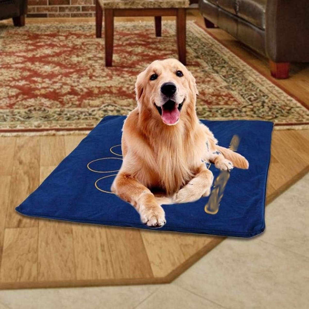 Pet Heating Pad - Waggy World