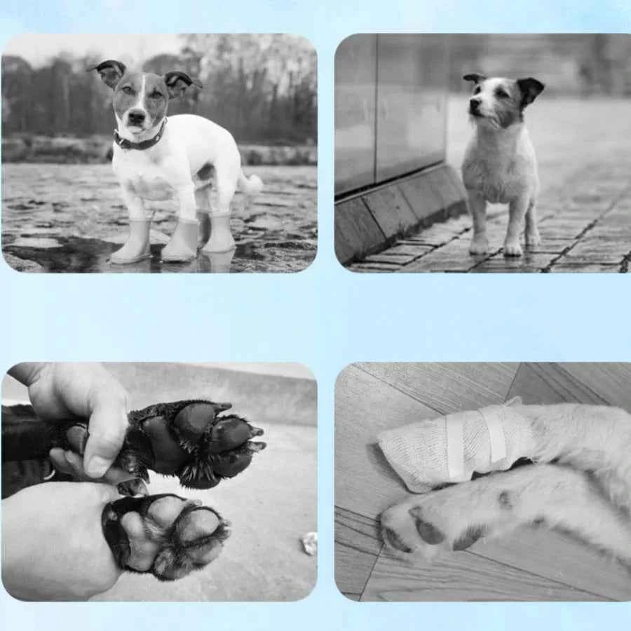 Pet Summer Shoes