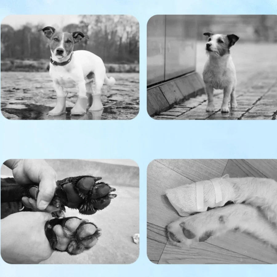 Pet Summer Shoes