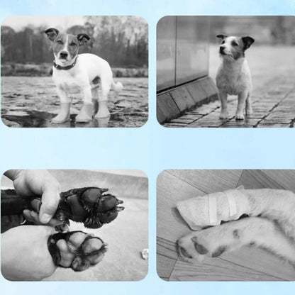 Pet Summer Shoes