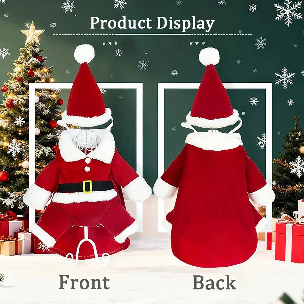Cat Holiday Santa Suit