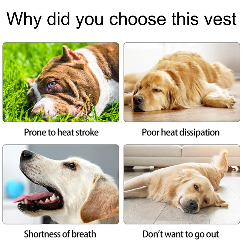 Dog Cooling Vest with UV Protection Front View