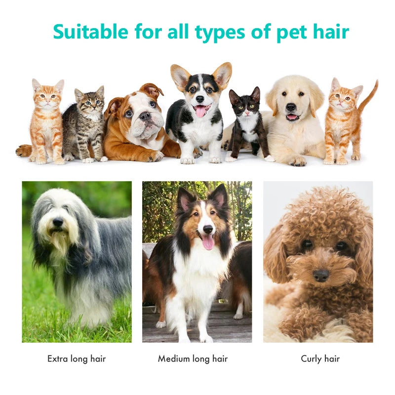 Pet Grooming Dryer - Waggy World