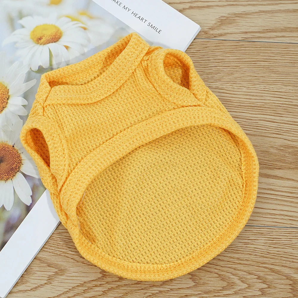 Cat Clothes Waffle Bear Pet Vest Summer Teddy Chihuahua Small Dog Two legged Clothes Cat Puppy Clothes Pet Costume
