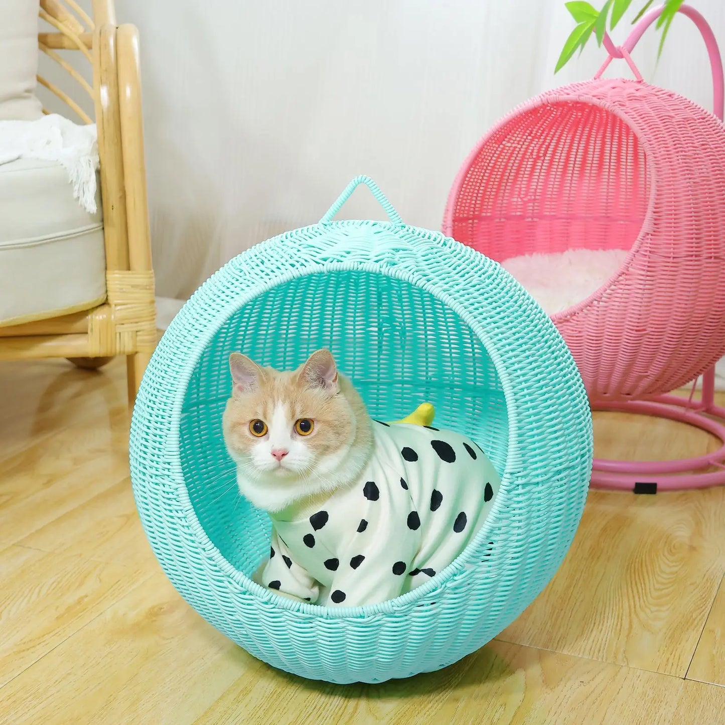 Rattan Pet Bed for Dogs & Cats