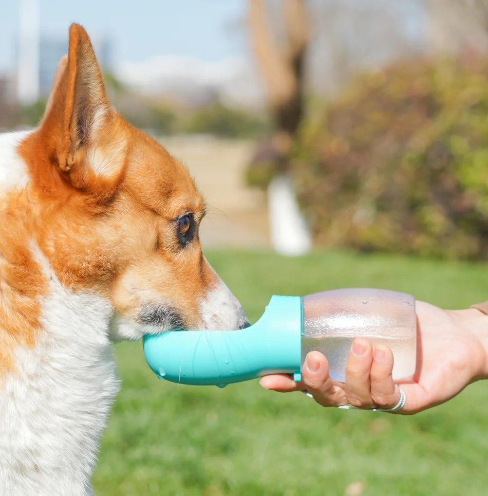 Portable Pet Water Bottle 300ml for Dogs & Cats