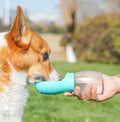 Portable Pet Water Bottle 300ml for Dogs & Cats