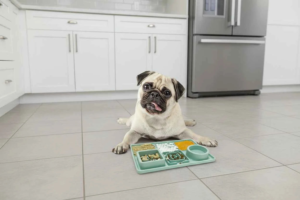 Multifunction Pet Slow Feeder Mat