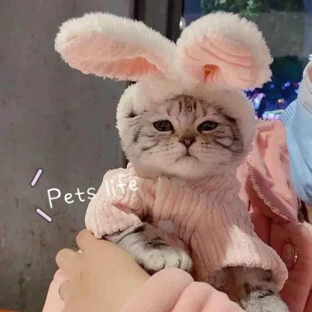 Kitty Cat costume