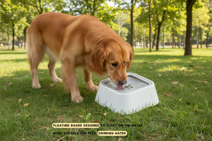 Pet Water fountain