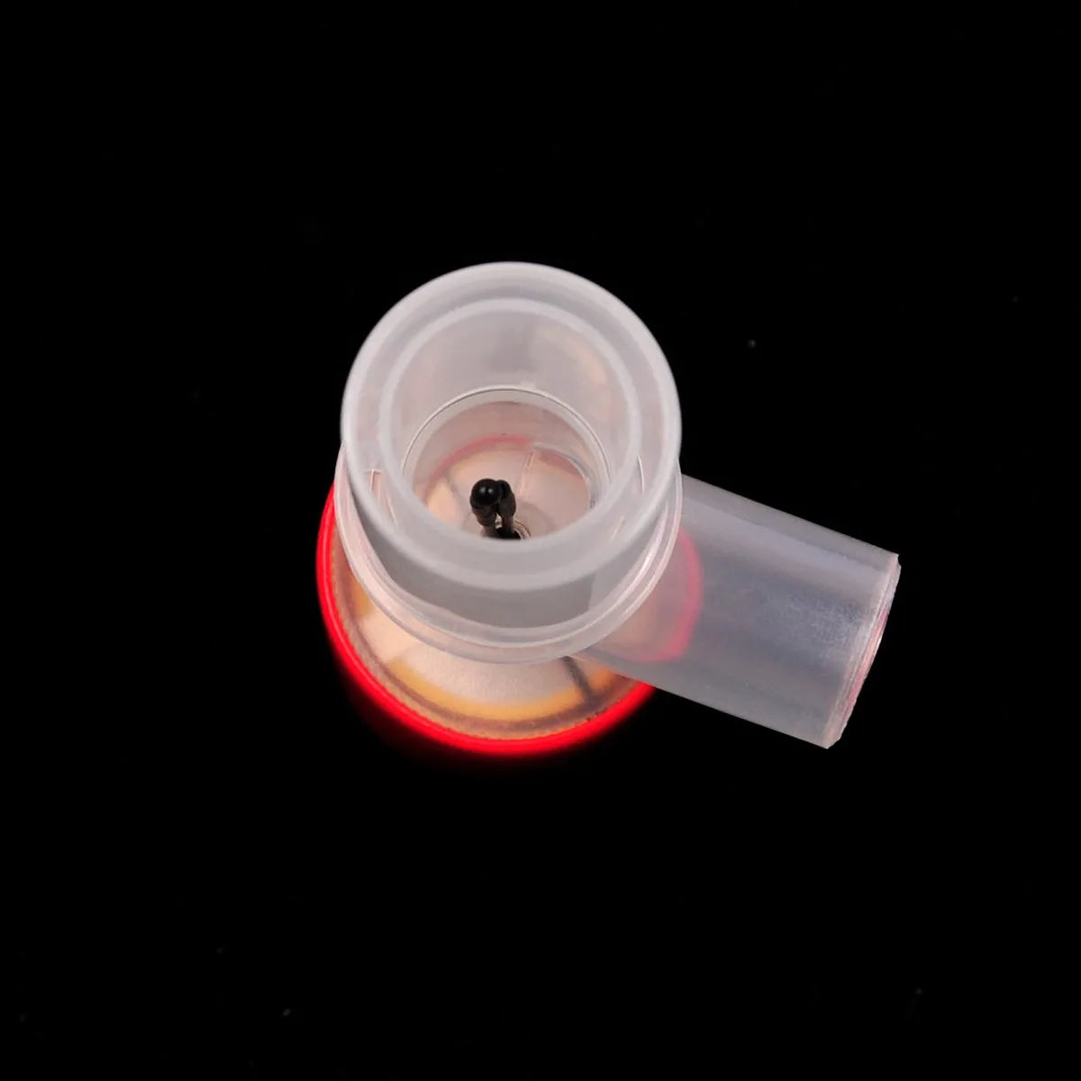 Veterinary Pet Apnea Monitor