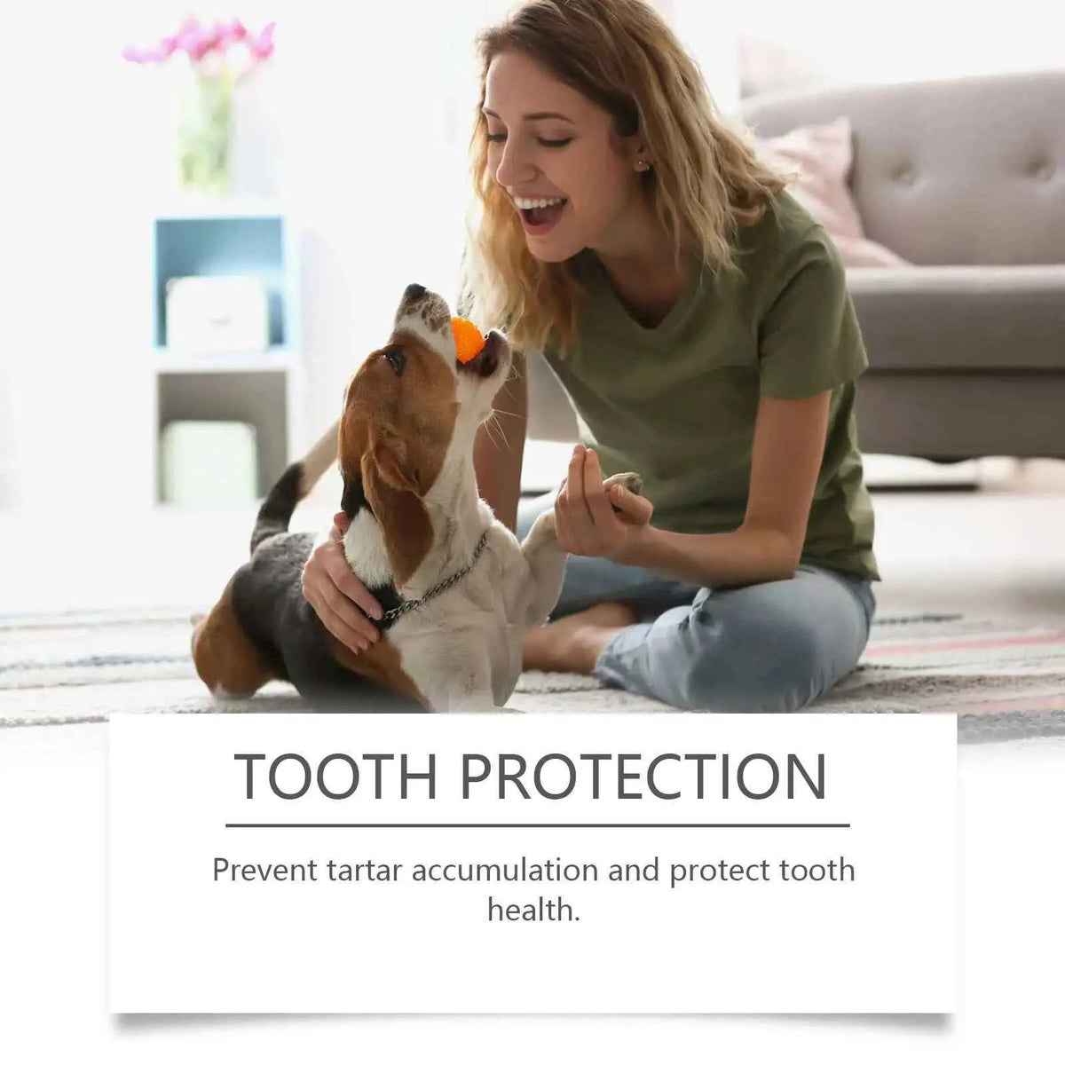 Pet Mouthwash