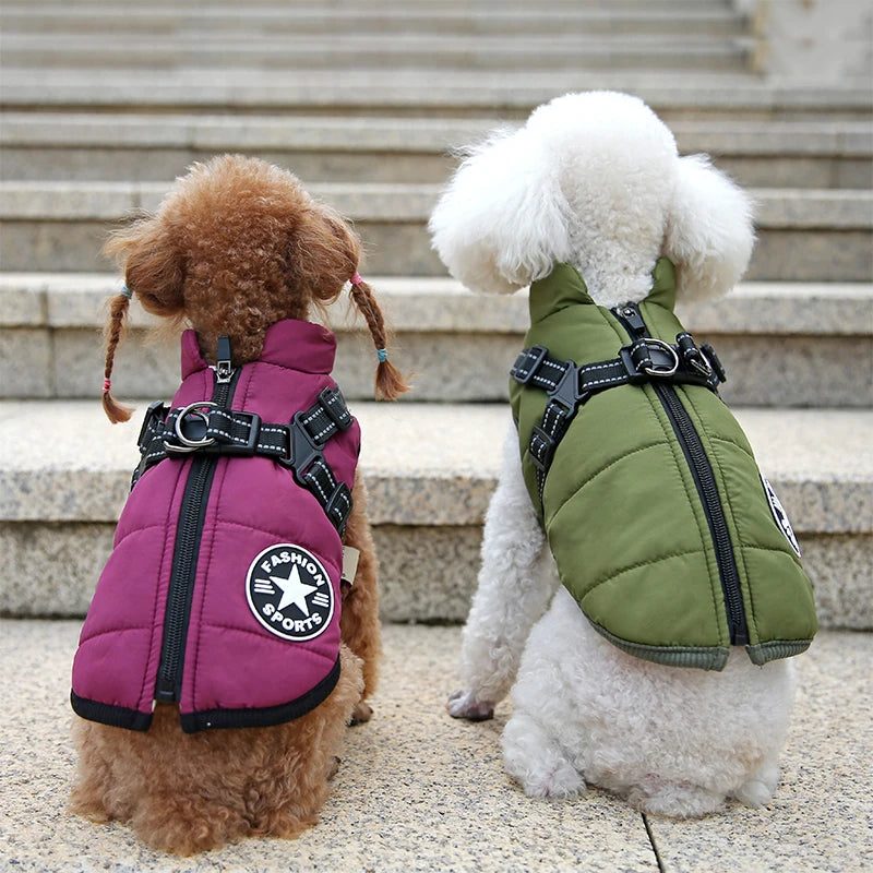 Waterproof Dog Winter Jacket with Harness
