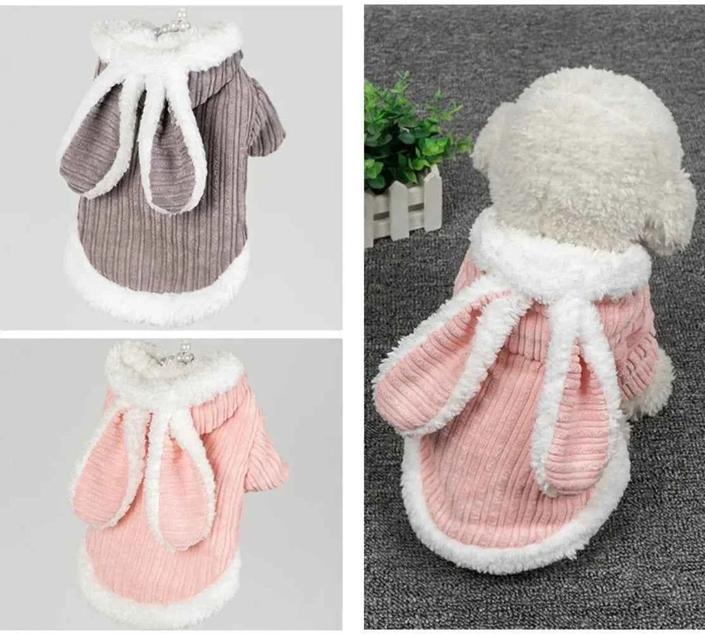 Kitty Cat costume