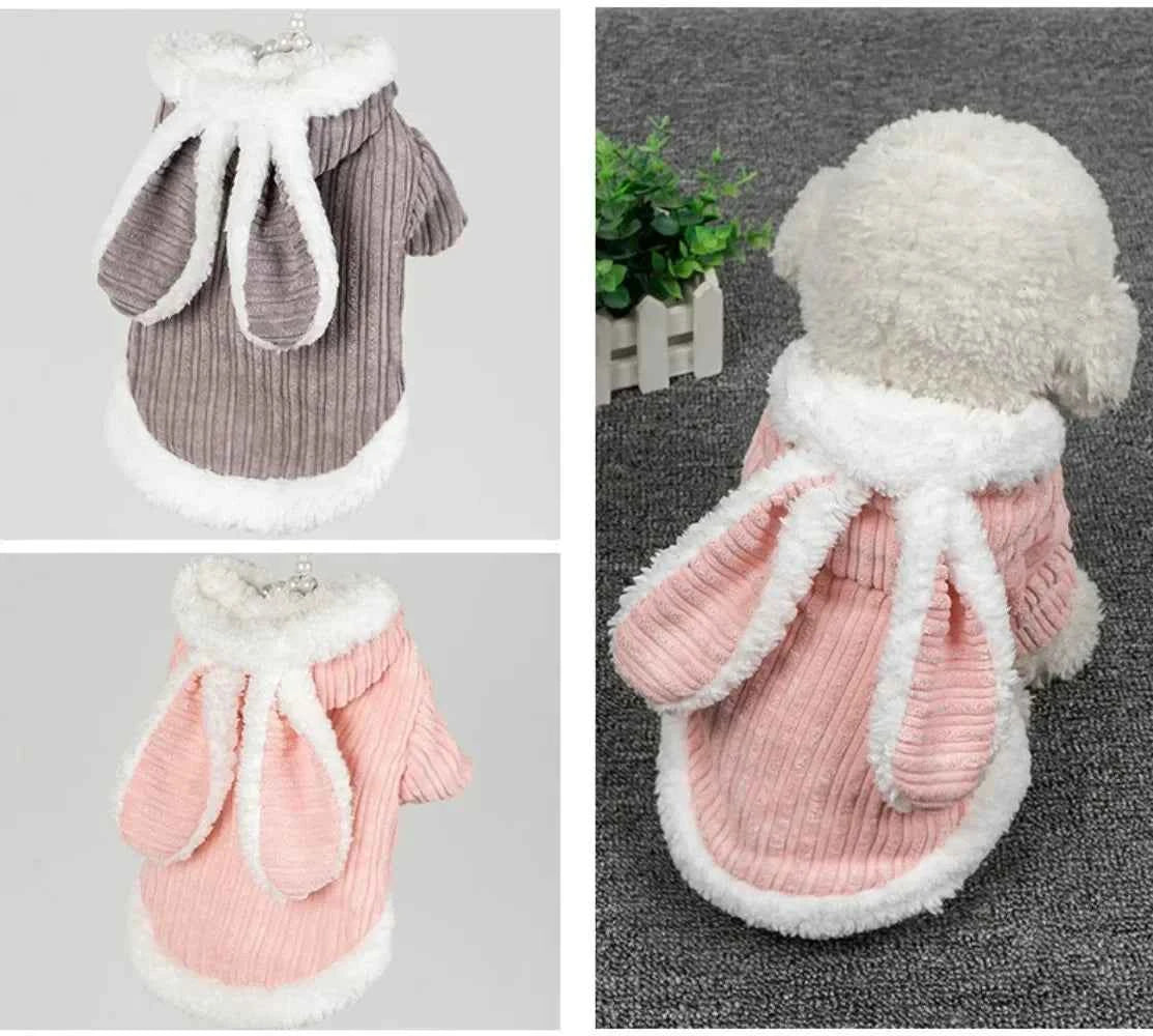 Kitty Cat costume