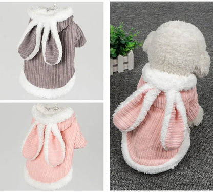 Kitty Cat costume