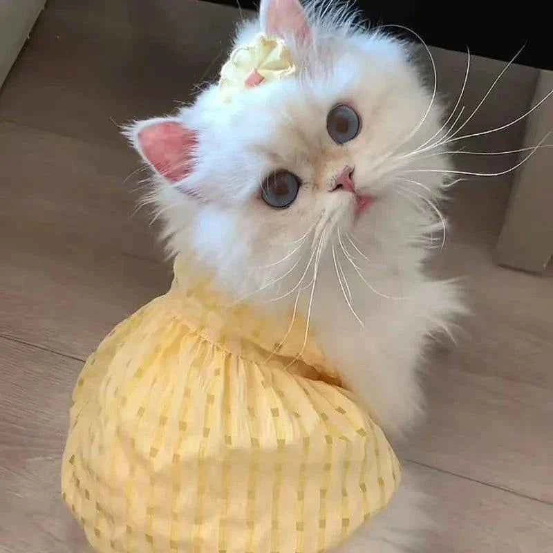 Kitty Summer Dress