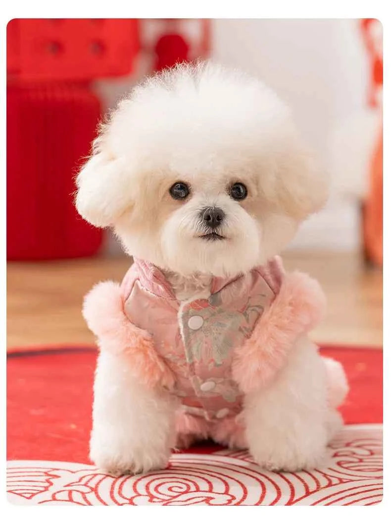 Charming Small Breed Dog Vest for New Year Celebrations