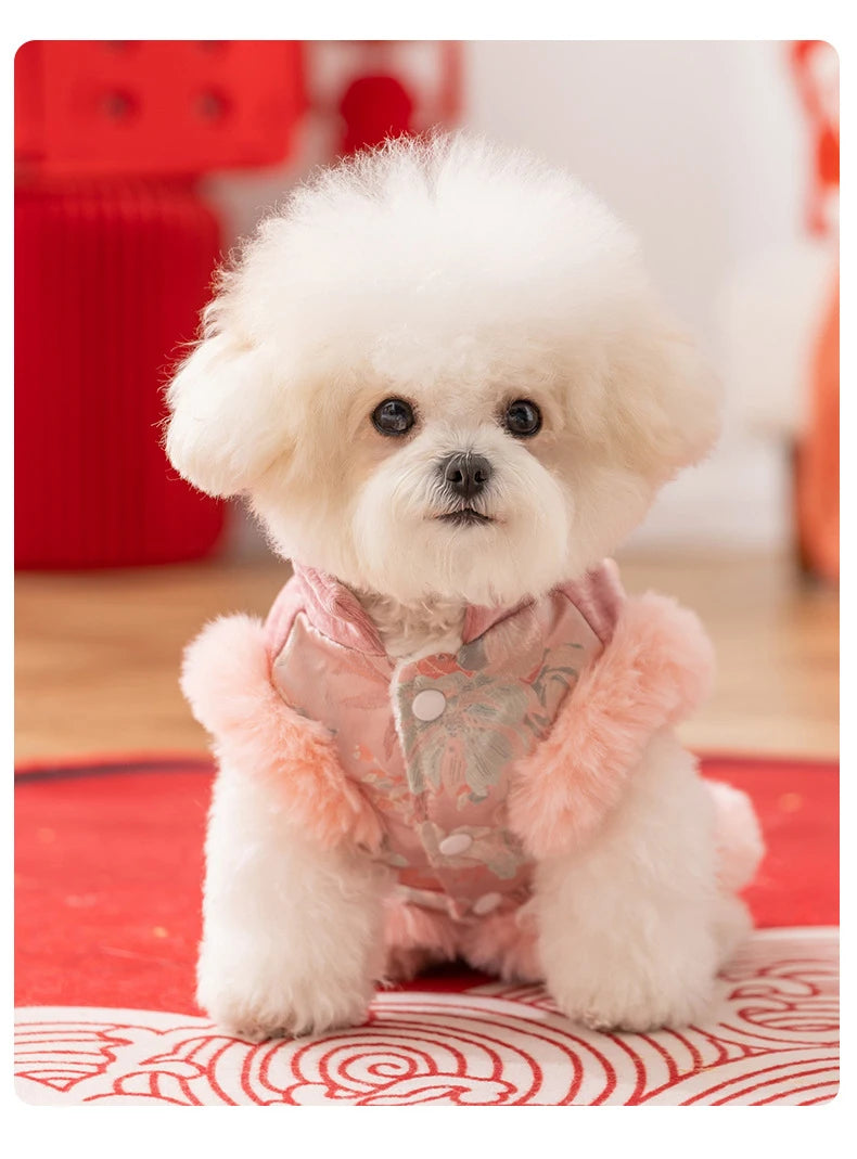 New Year Tang Small Breed Vest