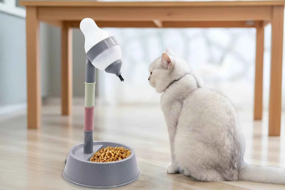 Pet Standing Water Dispenser