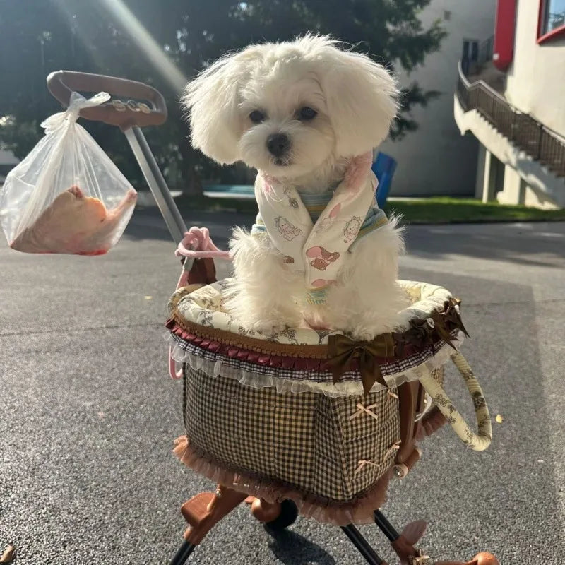 2026 Foldable Pet Stroller for Small Dogs & Cats - Waggy World