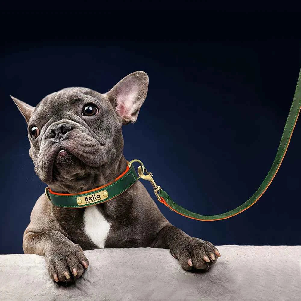 5 FT. Leather Leash