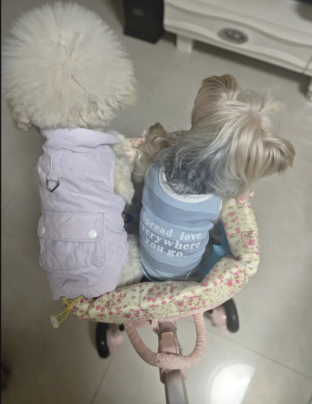 2026 Foldable Pet Stroller for Small Dogs & Cats - Waggy World