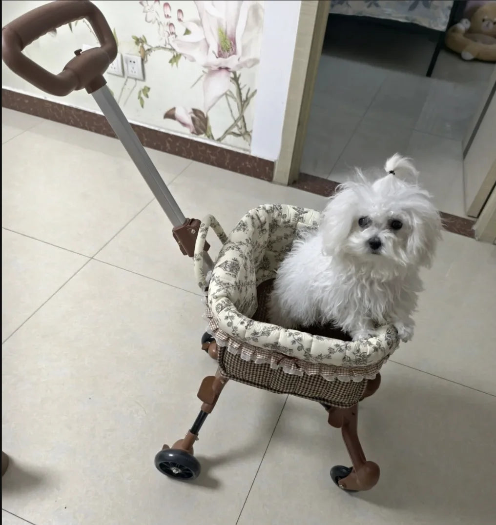 2026 Foldable Pet Stroller for Small Dogs & Cats - Waggy World