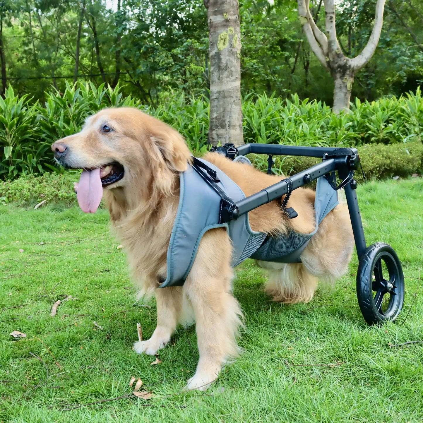 Pet Rehabilitation Mobility Cart