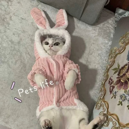 Kitty Cat costume