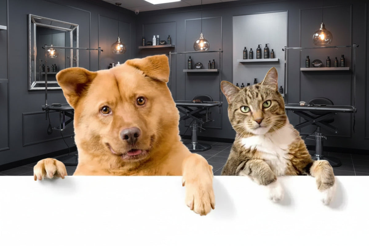 Pet Grooming Dryer - Waggy World