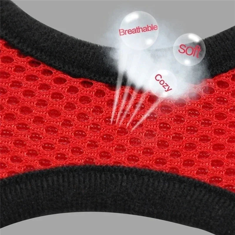Kitty Harness Vest