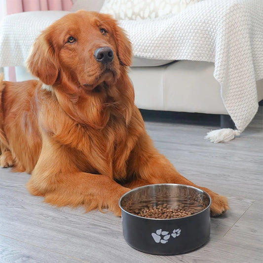 Stainless Steel Pet Bowl