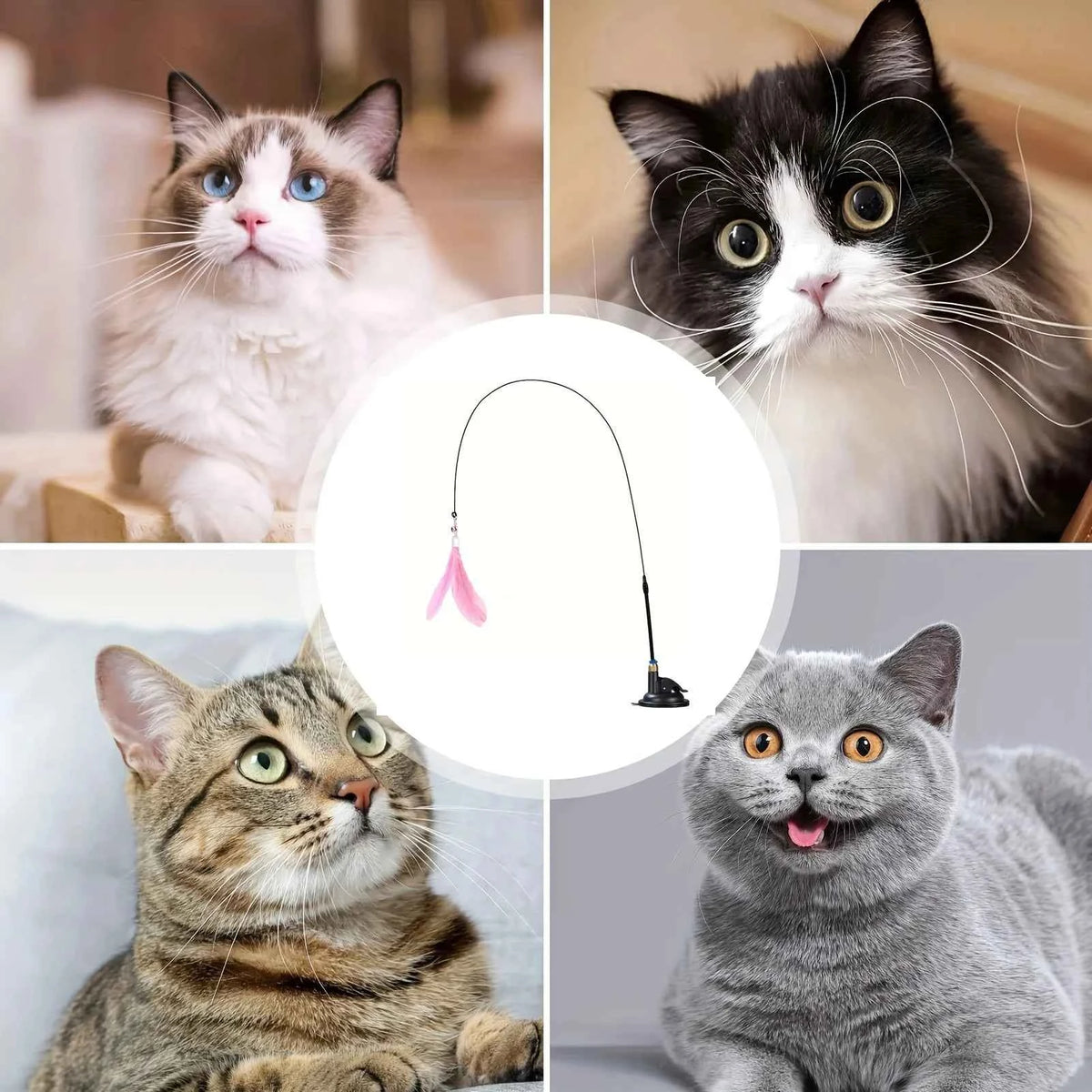 Cat Teaser Toy