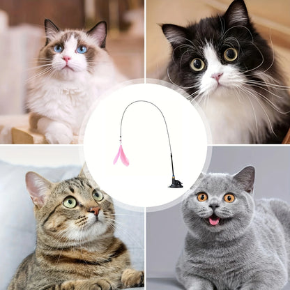 Cat Teaser Toy