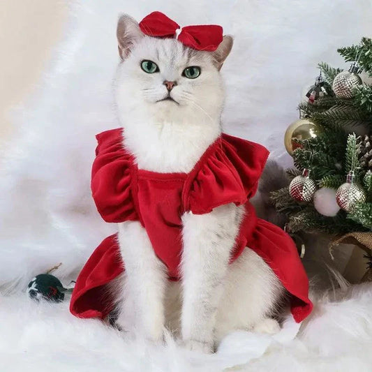 Formal Cat Holiday Dress